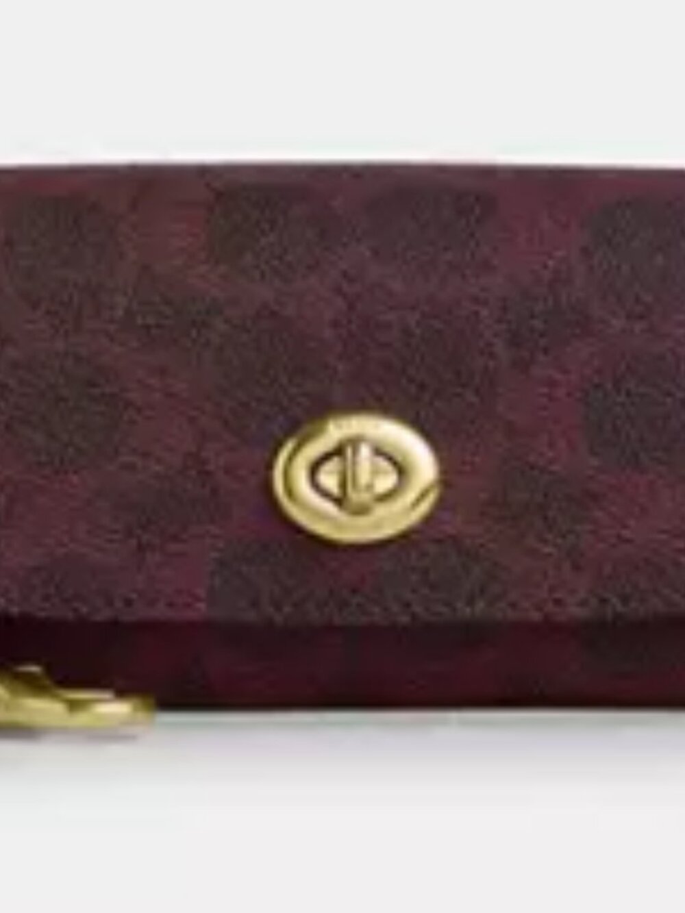 Sunglass Case In Signature Canvas - Picture 3 of 3